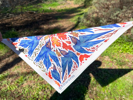 Steller's Jay Bandana
