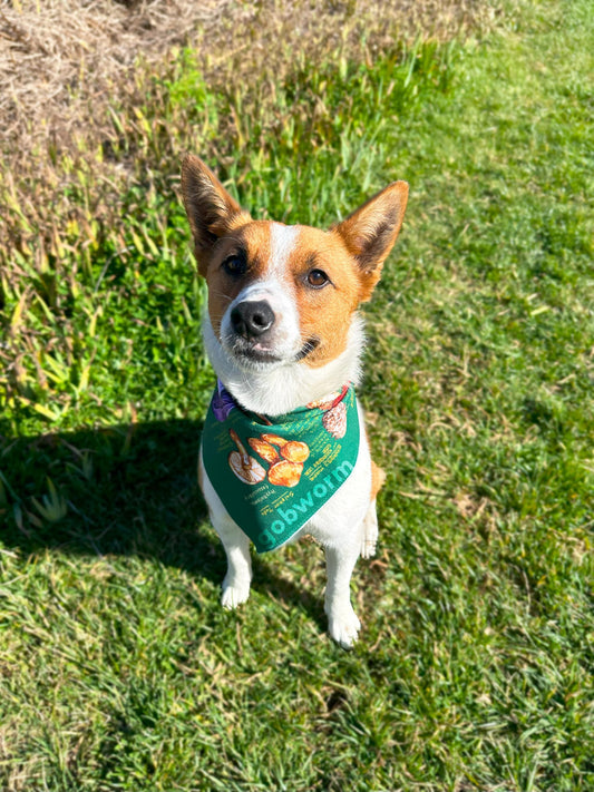 Mushroom Bandana