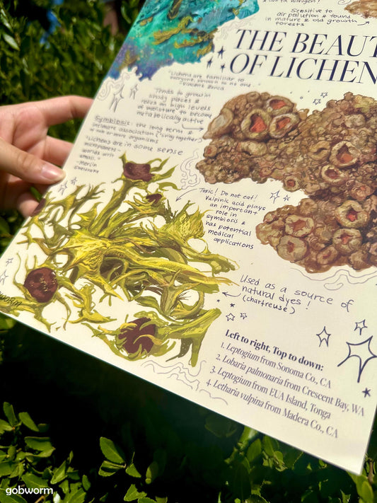 Lichen Scientific Print 8.5"x 11"