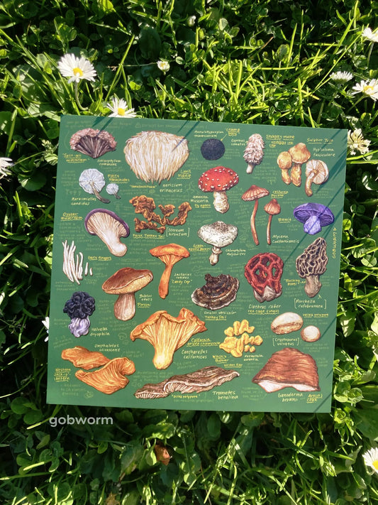 Mushroom Print 8"x 8"