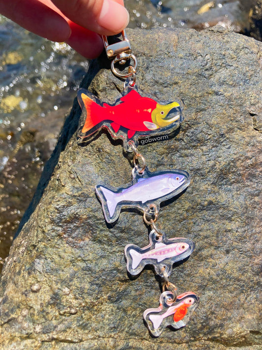 Salmon Life Cycle Keychain