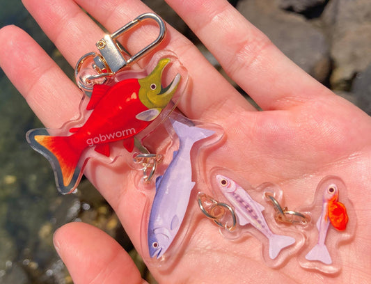 Salmon Life Cycle Keychain