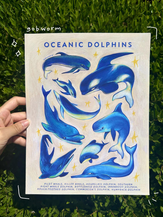 Oceanic Dolphins Print 8.5"x 11"