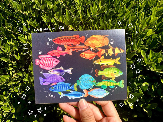 Rainbow Fish Postcard Print