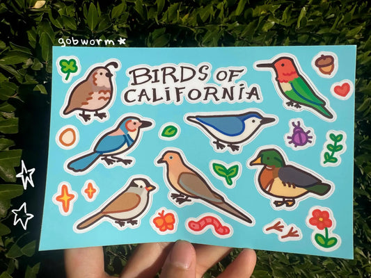 California Birds Sticker Sheet