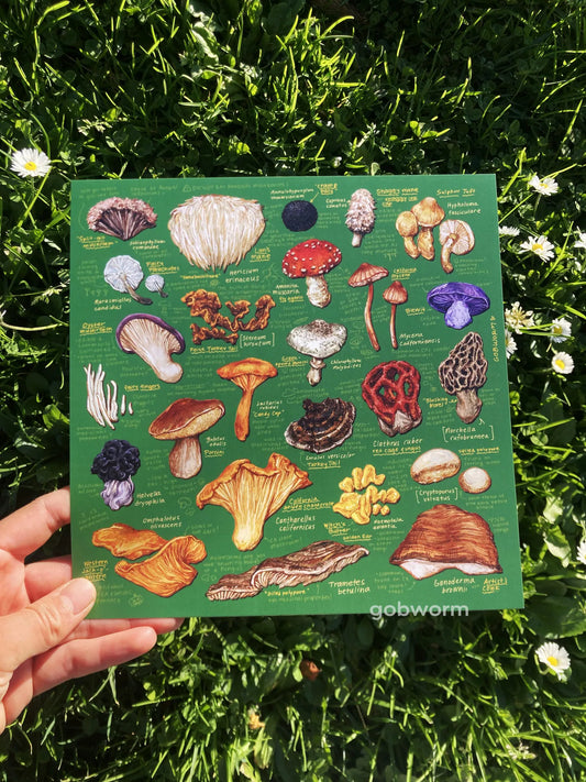 Mushroom Print 8"x 8"