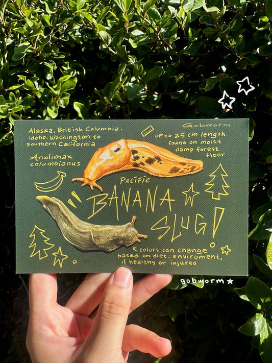 Banana Slug Postcard Print